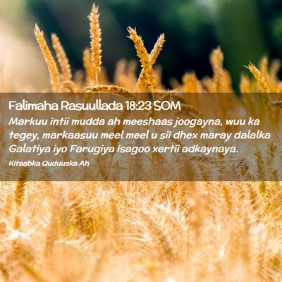 Picture 02 - Falimaha Rasuullada 18:23 SOM - Markuu intii mudda ah meeshaas joogayna, wuu ka - Bible Verse Picture