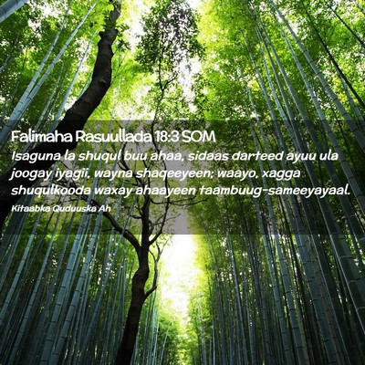 Picture 02 - Falimaha Rasuullada 18:3 SOM - Isaguna la shuqul buu ahaa, sidaas darteed ayuu - Bible Verse Picture
