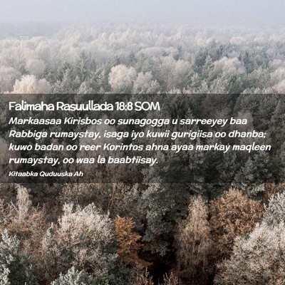 Picture 02 - Falimaha Rasuullada 18:8 SOM - Markaasaa Kirisbos oo sunagogga u sarreeyey baa - Bible Verse Picture