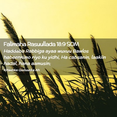Picture 02 - Falimaha Rasuullada 18:9 SOM - Haddaba Rabbiga ayaa wuxuu Bawlos habeennimo riyo - Bible Verse Picture