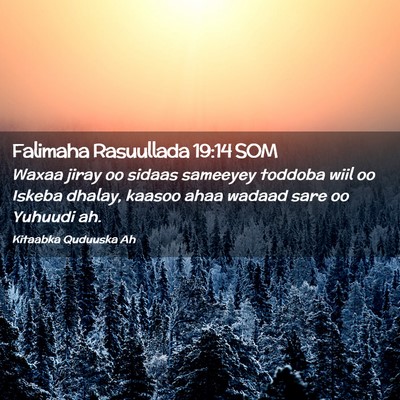 Picture 02 - Falimaha Rasuullada 19:14 SOM - Waxaa jiray oo sidaas sameeyey toddoba wiil oo - Bible Verse Picture