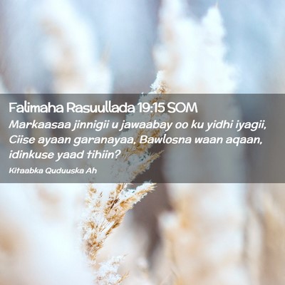 Picture 02 - Falimaha Rasuullada 19:15 SOM - Markaasaa jinnigii u jawaabay oo ku yidhi iyagii, - Bible Verse Picture