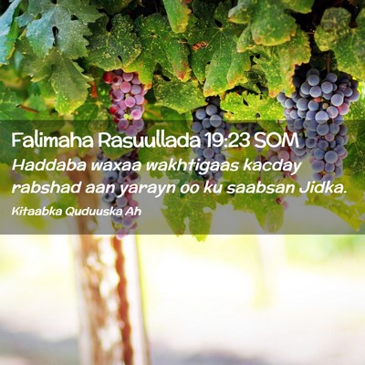 Picture 02 - Falimaha Rasuullada 19:23 SOM - Haddaba waxaa wakhtigaas kacday rabshad aan - Bible Verse Picture