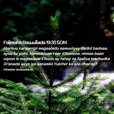 Picture 02 - Falimaha Rasuullada 19:35 SOM - Markuu karaanigii magaaladu aamusiiyey dadkii - Bible Verse Picture