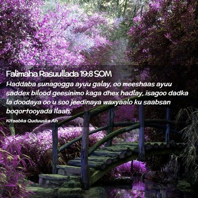 Picture 02 - Falimaha Rasuullada 19:8 SOM - Haddaba sunagogga ayuu galay, oo meeshaas ayuu - Bible Verse Picture