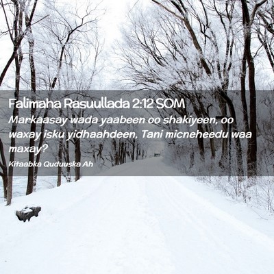 Picture 02 - Falimaha Rasuullada 2:12 SOM - Markaasay wada yaabeen oo shakiyeen, oo waxay - Bible Verse Picture