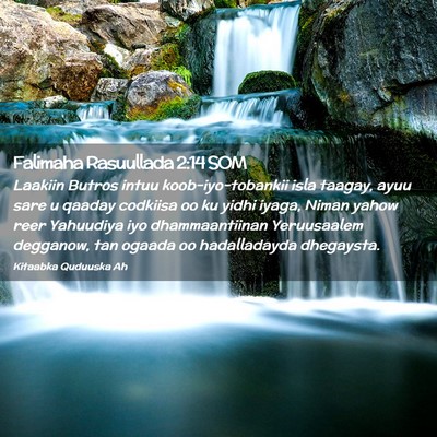 Picture 02 - Falimaha Rasuullada 2:14 SOM - Laakiin Butros intuu koob-iyo-tobankii isla - Bible Verse Picture