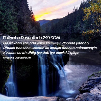 Picture 02 - Falimaha Rasuullada 2:19 SOM - Oo waxaan samada sare ka muujin doonaa yaabab, - Bible Verse Picture