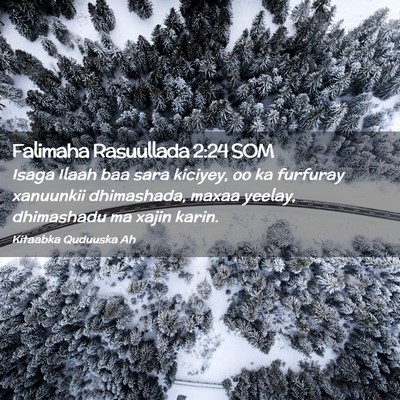 Picture 02 - Falimaha Rasuullada 2:24 SOM - Isaga Ilaah baa sara kiciyey, oo ka furfuray - Bible Verse Picture