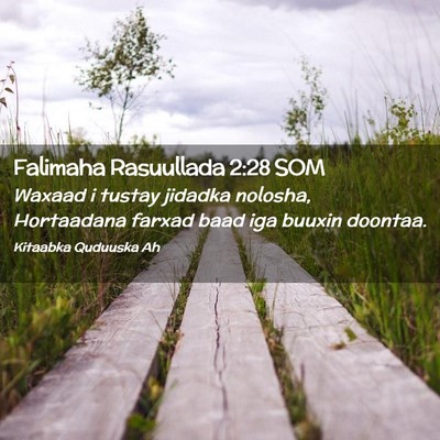 Picture 02 - Falimaha Rasuullada 2:28 SOM - Waxaad i tustay jidadka nolosha, Hortaadana - Bible Verse Picture
