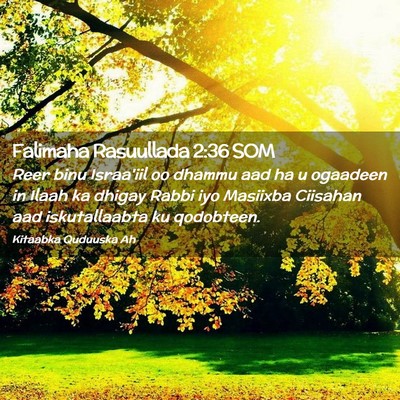 Picture 02 - Falimaha Rasuullada 2:36 SOM - Reer binu Israa'iil oo dhammu aad ha u ogaadeen - Bible Verse Picture