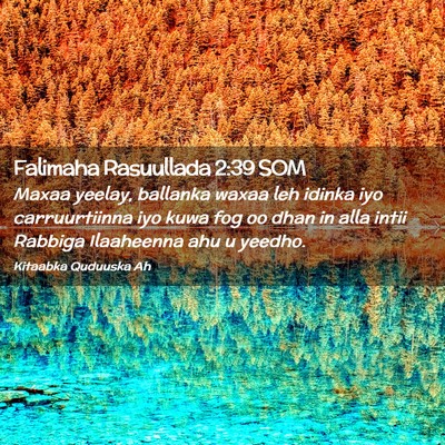 Picture 02 - Falimaha Rasuullada 2:39 SOM - Maxaa yeelay, ballanka waxaa leh idinka iyo - Bible Verse Picture
