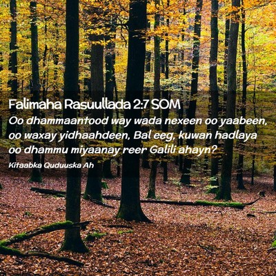 Picture 02 - Falimaha Rasuullada 2:7 SOM - Oo dhammaantood way wada nexeen oo yaabeen, oo - Bible Verse Picture