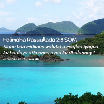 Picture 02 - Falimaha Rasuullada 2:8 SOM - Sidee baa midkeen waluba u maqlaa iyagoo ku - Bible Verse Picture