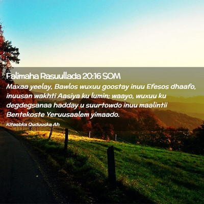 Picture 02 - Falimaha Rasuullada 20:16 SOM - Maxaa yeelay, Bawlos wuxuu goostay inuu Efesos - Bible Verse Picture