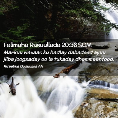 Picture 02 - Falimaha Rasuullada 20:36 SOM - Markuu waxaas ku hadlay dabadeed ayuu jilba - Bible Verse Picture