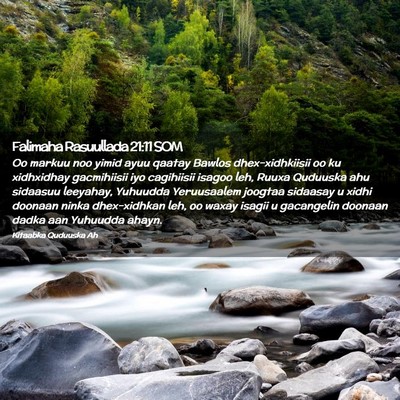 Picture 02 - Falimaha Rasuullada 21:11 SOM - Oo markuu noo yimid ayuu qaatay Bawlos - Bible Verse Picture