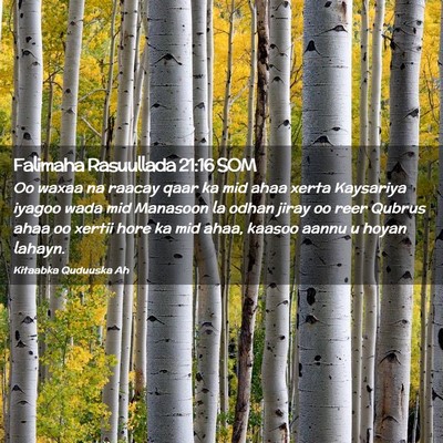 Picture 02 - Falimaha Rasuullada 21:16 SOM - Oo waxaa na raacay qaar ka mid ahaa xerta - Bible Verse Picture