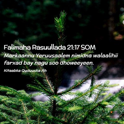 Picture 02 - Falimaha Rasuullada 21:17 SOM - Markaannu Yeruusaalem nimidna walaalihii farxad - Bible Verse Picture