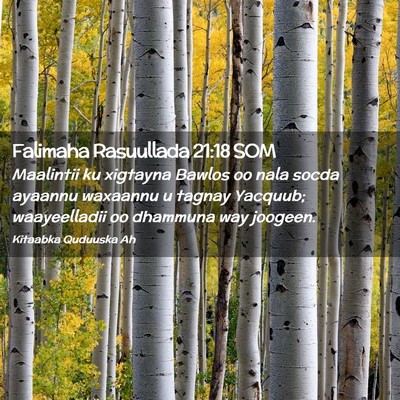 Picture 02 - Falimaha Rasuullada 21:18 SOM - Maalintii ku xigtayna Bawlos oo nala socda - Bible Verse Picture