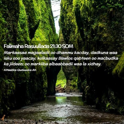 Picture 02 - Falimaha Rasuullada 21:30 SOM - Markaasaa magaaladii oo dhammu kacday, dadkuna - Bible Verse Picture