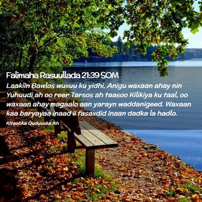 Picture 02 - Falimaha Rasuullada 21:39 SOM - Laakiin Bawlos wuxuu ku yidhi, Anigu waxaan ahay - Bible Verse Picture