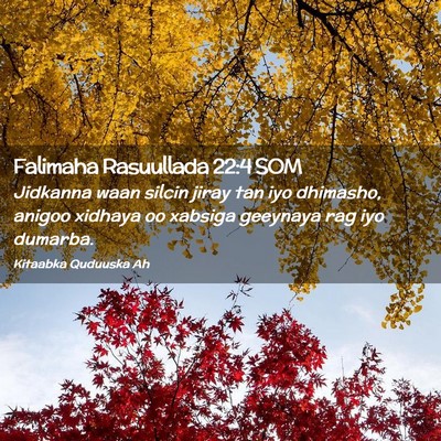 Picture 02 - Falimaha Rasuullada 22:4 SOM - Jidkanna waan silcin jiray tan iyo dhimasho, - Bible Verse Picture