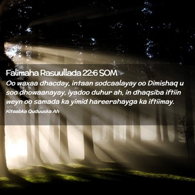 Picture 02 - Falimaha Rasuullada 22:6 SOM - Oo waxaa dhacday, intaan sodcaalayay oo Dimishaq - Bible Verse Picture