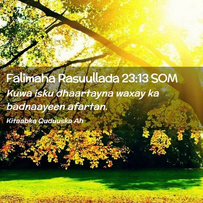 Picture 02 - Falimaha Rasuullada 23:13 SOM - Kuwa isku dhaartayna waxay ka badnaayeen - Bible Verse Picture