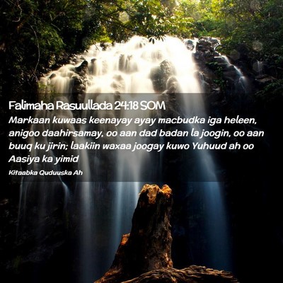 Picture 02 - Falimaha Rasuullada 24:18 SOM - Markaan kuwaas keenayay ayay macbudka iga heleen, - Bible Verse Picture