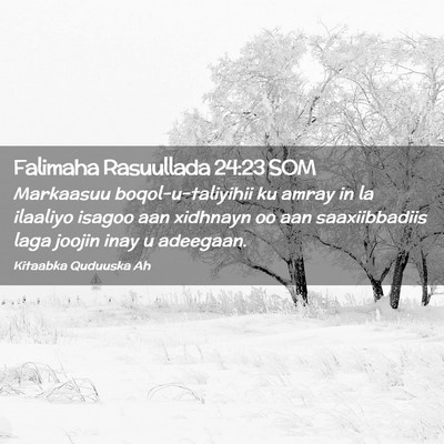 Picture 02 - Falimaha Rasuullada 24:23 SOM - Markaasuu boqol-u-taliyihii ku amray in la - Bible Verse Picture