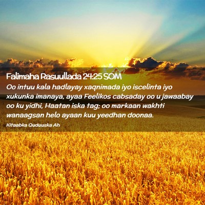 Picture 02 - Falimaha Rasuullada 24:25 SOM - Oo intuu kala hadlayay xaqnimada iyo iscelinta - Bible Verse Picture