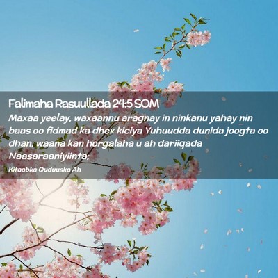 Picture 02 - Falimaha Rasuullada 24:5 SOM - Maxaa yeelay, waxaannu aragnay in ninkanu yahay - Bible Verse Picture