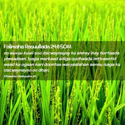 Picture 02 - Falimaha Rasuullada 24:8 SOM - oo wuxuu kuwii soo dacwaynayay ku amray inay - Bible Verse Picture