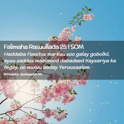 Picture 02 - Falimaha Rasuullada 25:1 SOM - Haddaba Feestos markuu soo galay gobolkii, ayuu - Bible Verse Picture