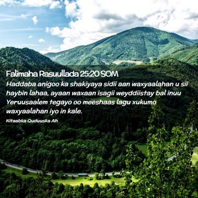 Picture 02 - Falimaha Rasuullada 25:20 SOM - Haddaba anigoo ka shakiyaya sidii aan waxyaalahan - Bible Verse Picture
