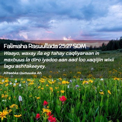 Picture 02 - Falimaha Rasuullada 25:27 SOM - Waayo, waxay ila eg tahay caqliyaraan in maxbuus - Bible Verse Picture