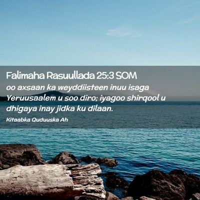 Picture 02 - Falimaha Rasuullada 25:3 SOM - oo axsaan ka weyddiisteen inuu isaga Yeruusaalem - Bible Verse Picture