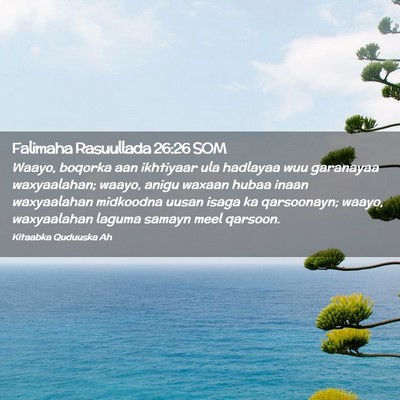 Picture 02 - Falimaha Rasuullada 26:26 SOM - Waayo, boqorka aan ikhtiyaar ula hadlayaa wuu - Bible Verse Picture