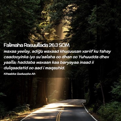Picture 02 - Falimaha Rasuullada 26:3 SOM - maxaa yeelay, adigu waxaad khusuusan xariif ku - Bible Verse Picture