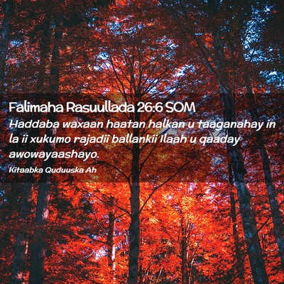 Picture 02 - Falimaha Rasuullada 26:6 SOM - Haddaba waxaan haatan halkan u taaganahay in la - Bible Verse Picture
