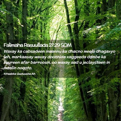 Picture 02 - Falimaha Rasuullada 27:29 SOM - Waxay ka cabsadeen inaannu ku dhacno meelo - Bible Verse Picture