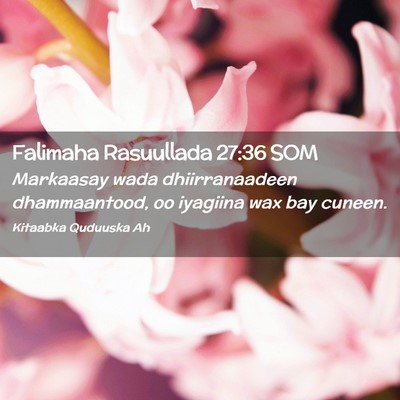 Picture 02 - Falimaha Rasuullada 27:36 SOM - Markaasay wada dhiirranaadeen dhammaantood, oo - Bible Verse Picture