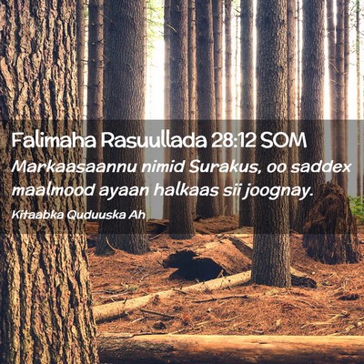 Picture 02 - Falimaha Rasuullada 28:12 SOM - Markaasaannu nimid Surakus, oo saddex maalmood - Bible Verse Picture