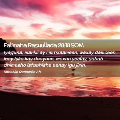 Picture 02 - Falimaha Rasuullada 28:18 SOM - Iyaguna, markii ay i imtixaameen, waxay damceen - Bible Verse Picture