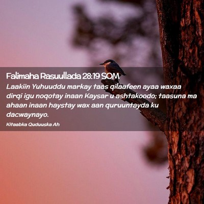 Picture 02 - Falimaha Rasuullada 28:19 SOM - Laakiin Yuhuuddu markay taas qilaafeen ayaa waxaa - Bible Verse Picture