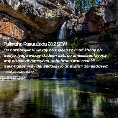 Picture 02 - Falimaha Rasuullada 28:2 SOM - Oo barbariyiintii waxay na tuseen raxmad khaas - Bible Verse Picture