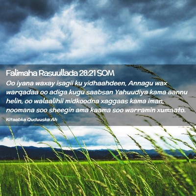 Picture 02 - Falimaha Rasuullada 28:21 SOM - Oo iyana waxay isagii ku yidhaahdeen, Annagu wax - Bible Verse Picture
