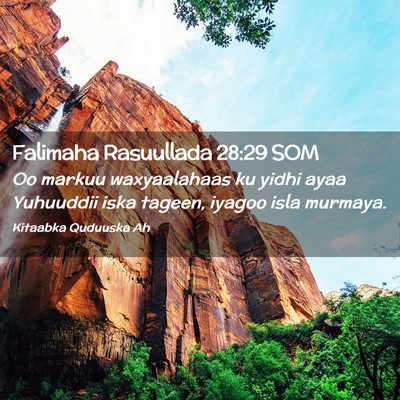 Picture 02 - Falimaha Rasuullada 28:29 SOM - Oo markuu waxyaalahaas ku yidhi ayaa Yuhuuddii - Bible Verse Picture