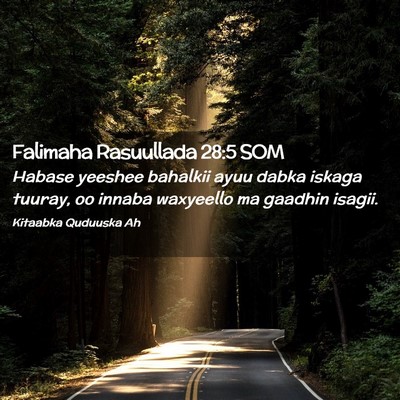 Picture 02 - Falimaha Rasuullada 28:5 SOM - Habase yeeshee bahalkii ayuu dabka iskaga tuuray, - Bible Verse Picture